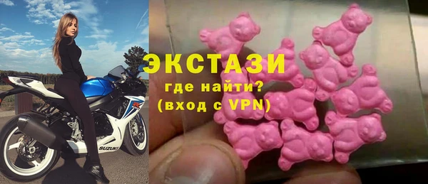 хмурый Каменка