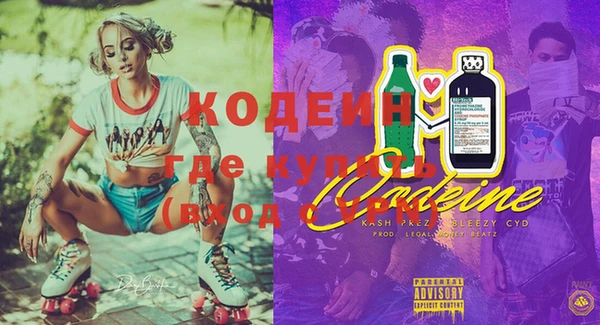 хмурый Каменка