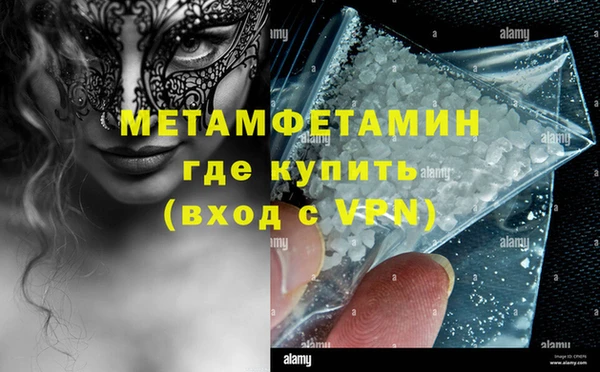 стаф Каменногорск