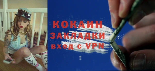 хмурый Каменка