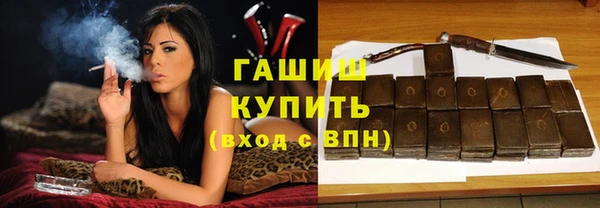 стаф Каменногорск
