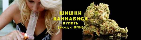 хмурый Каменка