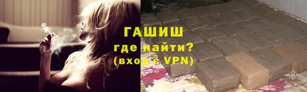 стаф Каменногорск