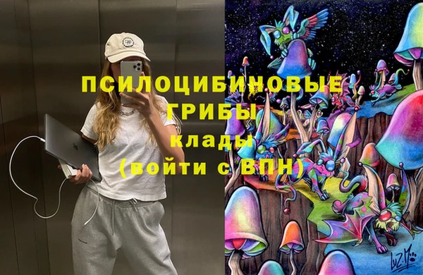 хмурый Каменка