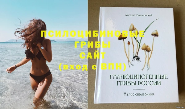 дживик Каменск-Шахтинский