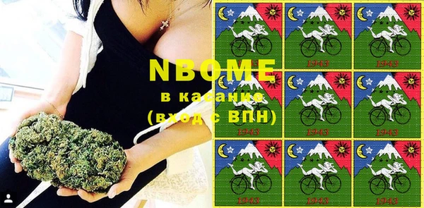 хмурый Каменка
