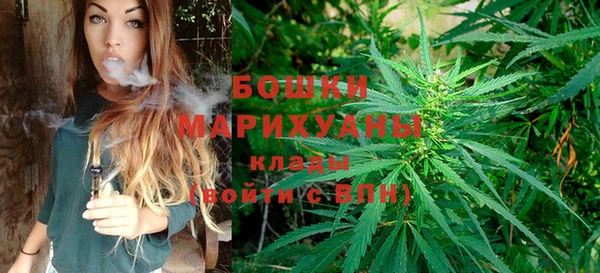 дживик Каменск-Шахтинский